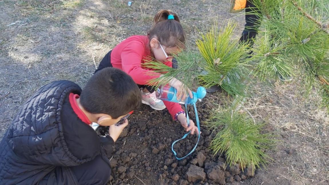 İlkokul Öğrencilerimizin Okulumuz Bahçesinde Fidan Dikme Etkinliği (2022)